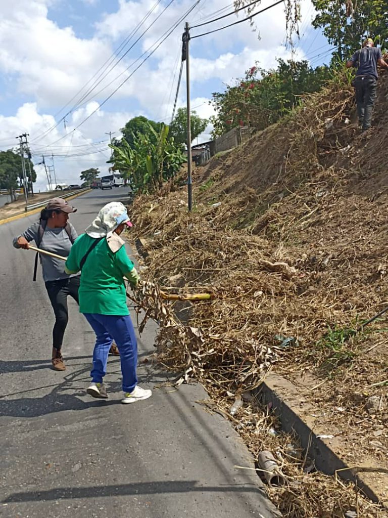 Recolectan Toneladas De Desechos En El Elevado De Boquer N En Matur N