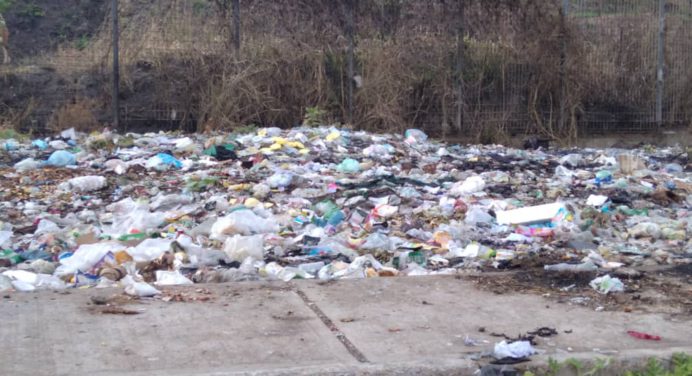 En La Gran Victoria la basura está a cada paso