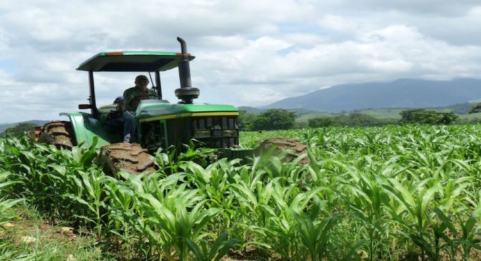 Productores de Monagas requieren 400 mil litros de gasoil para sembrar