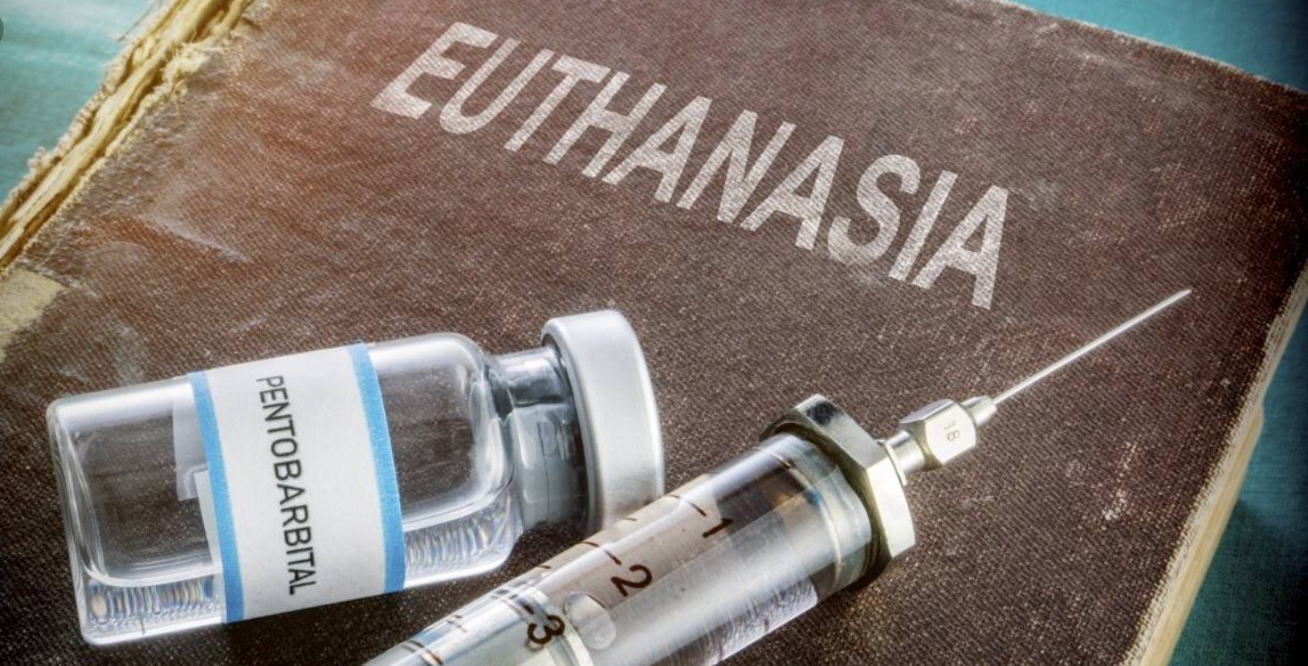 Parlamento aprueba la eutanasia en España