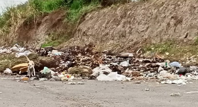 Más de un mes tiene basurero en la entrada de Los Tapiales II
