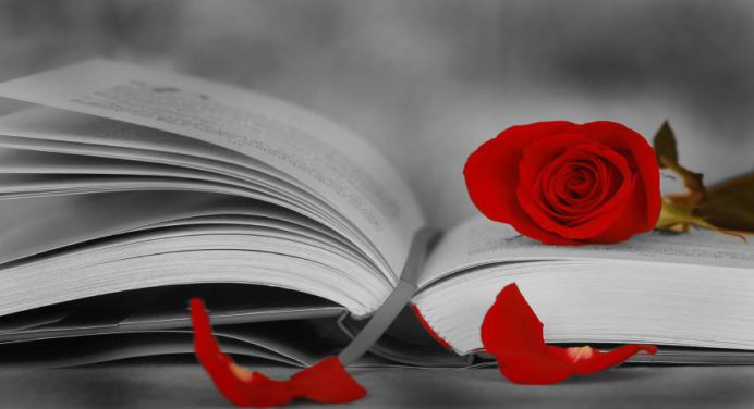 23 de abril: Día Internacional del Libro