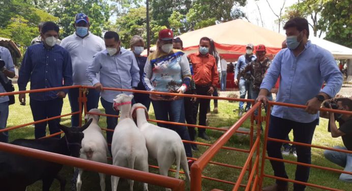 Discuten proyecto de Ley de producción ovina y caprina