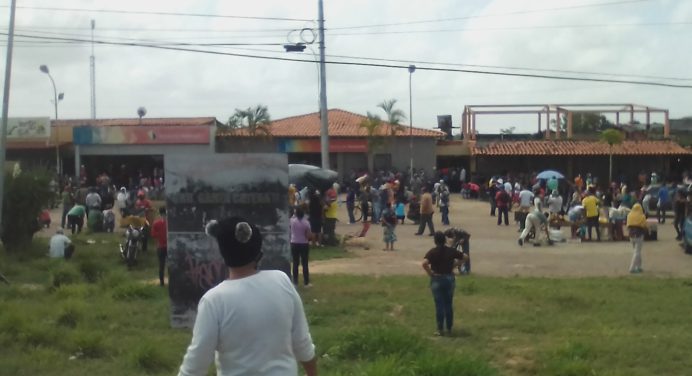 Nube de abejas hace correr a usuarios del Banco de Venezuela de Las Cayenas