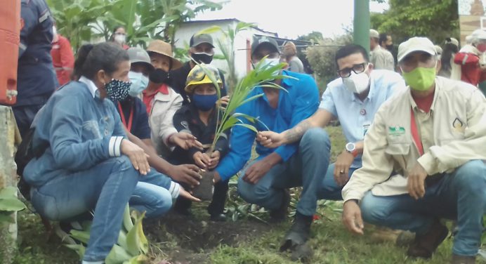 Dan inicio a plan de arborización en el municipio Caripe