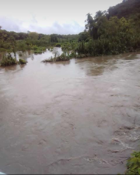 Más de 20 viviendas afectadas por desborde del río Carp en el municipio Bolívar