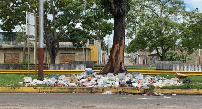 Basurero está disperso en la avenida Orinoco de Maturín