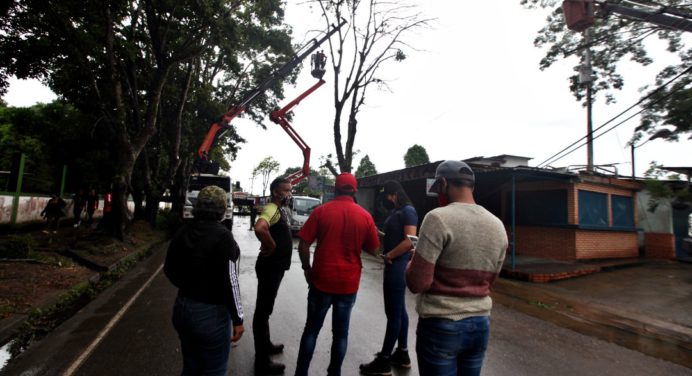 Gobernación sustituye tendido eléctrico en El Ambiente averiado por las lluvias