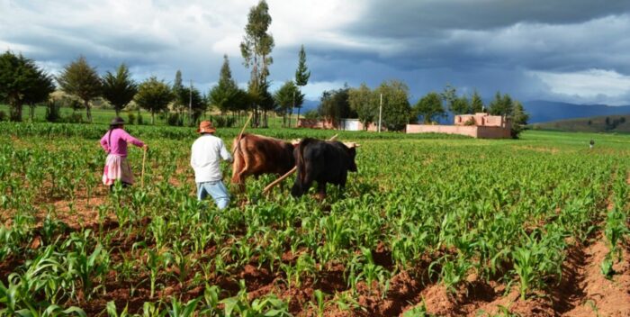 producción de alimentos