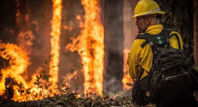 Incendios en Argelia dejan al menos 65 muertos