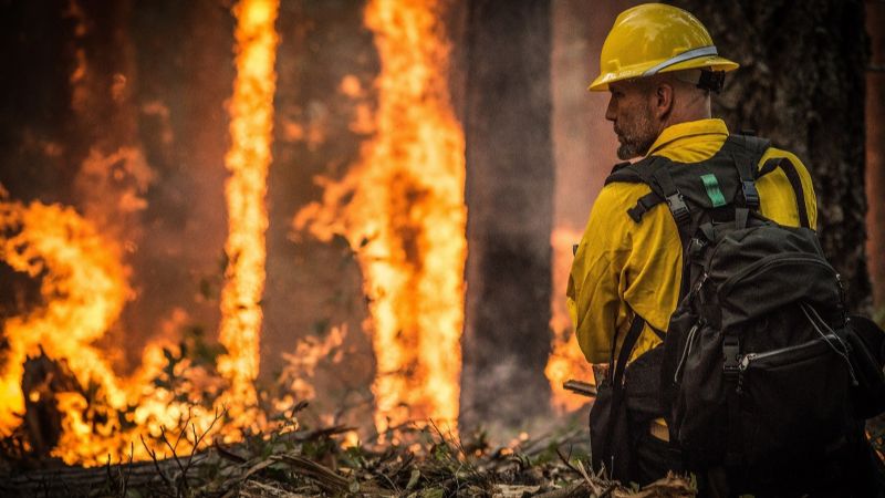 incendios en argelia