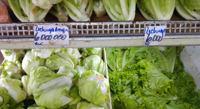 Altos precios de las hortalizas impiden tener una dieta saludable