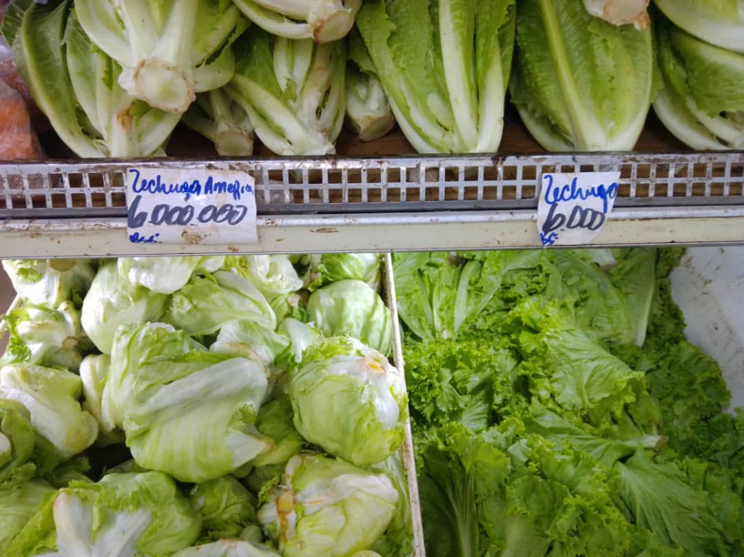 Altos precios de las hortalizas impiden tener una dieta saludable