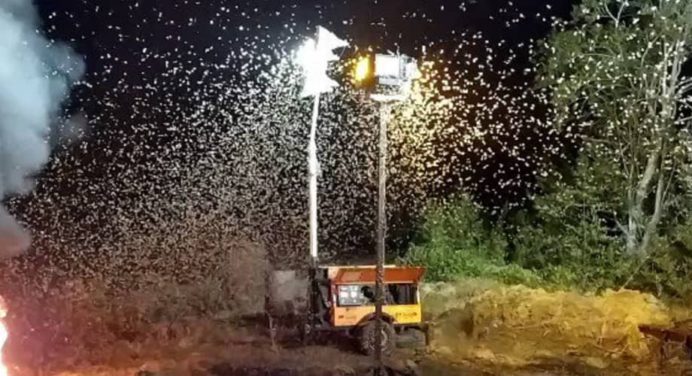 Instalan trampas contra la palometa peluda en Caripito