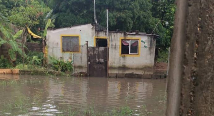 Vecinos de El Rosillo sufren a causa de las fuertes lluvias