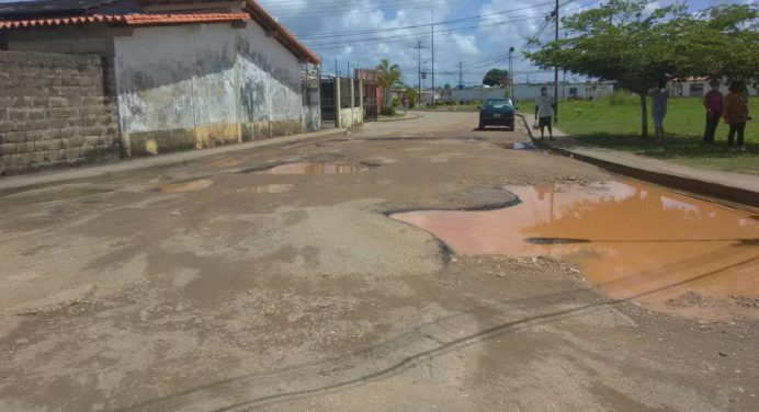 Llenas de huecos están las calles de Tipuro II