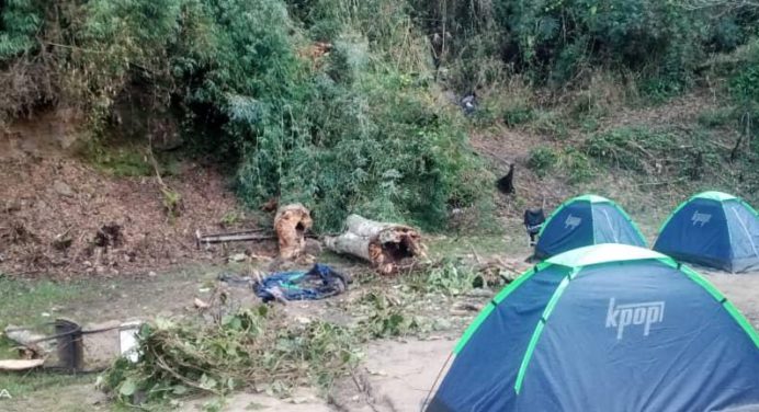 Estudiante de la Unes murió luego que un árbol cayó en su carpa