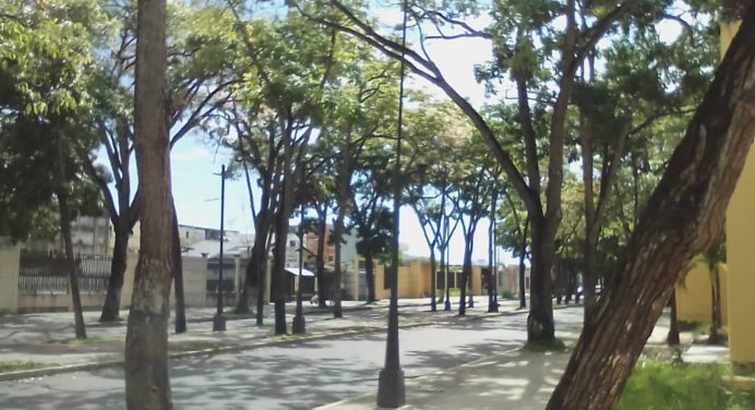 ¿Y los cuerpos de seguridad? Se robaron todas las lámparas del Paseo Bolívar