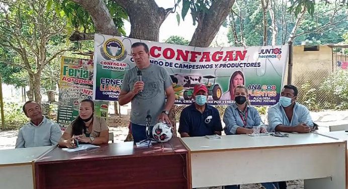 Confagan asume plan de vacunación del ganado en sectores campesinos
