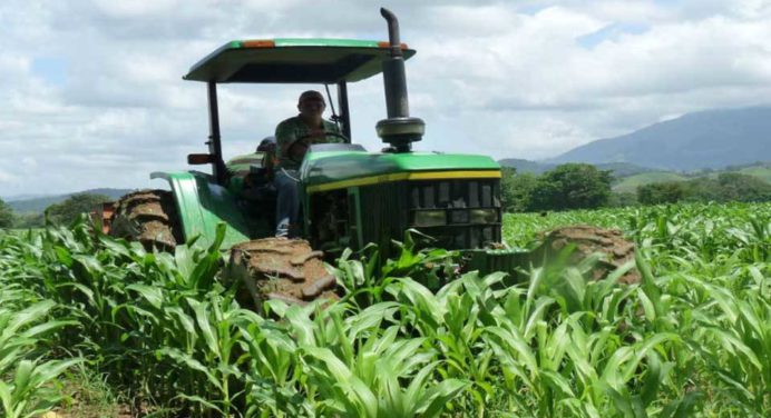 Fedeagro: Sector agrícola requiere diariamente 15 mil barriles de diésel