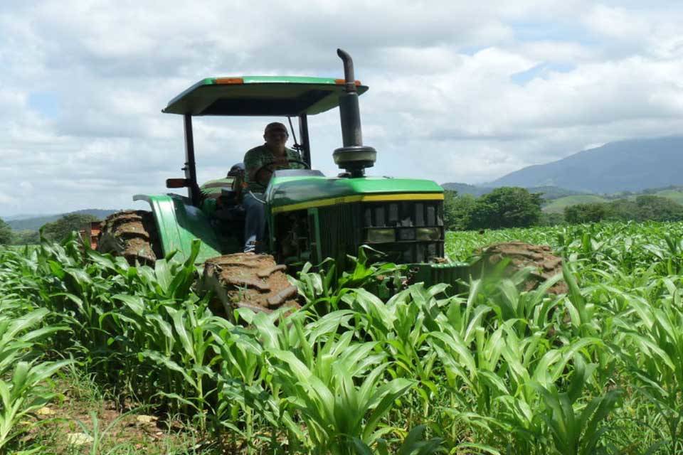 Fedeagro: Sector agrícola requiere diariamente 15 mil barriles de diésel