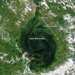 la nasa denuncia contaminacion del lago de maracaibo laverdaddemonagas.com fa4nizpwuamb8kb