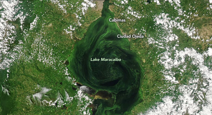 La Nasa denuncia contaminación del Lago de Maracaibo