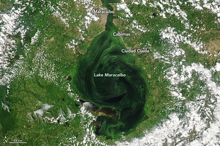 la nasa denuncia contaminacion del lago de maracaibo laverdaddemonagas.com fa4nizpwuamb8kb