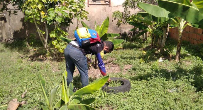 Eliminados más de 11 mil criaderos del Aedes aegypti en Monagas