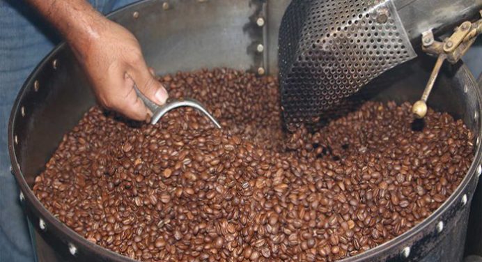 Escasez de gasoil afecta la producción nacional de café