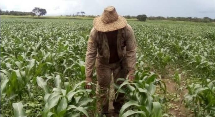 Foncredemo entregó créditos para la siembra de 3 mil 759 hectáreas