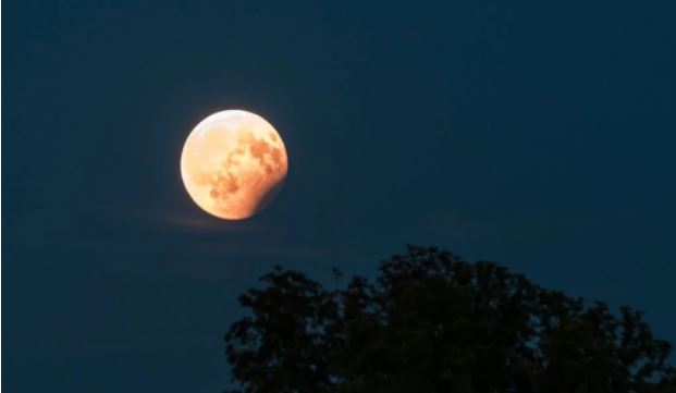 mira donde se vera el eclipse lunar de este 19 de noviembre laverdaddemonagas.com eclipse