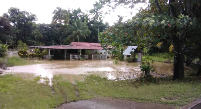 124 familias afectadas por inundaciones en Caripito y Quiriquire