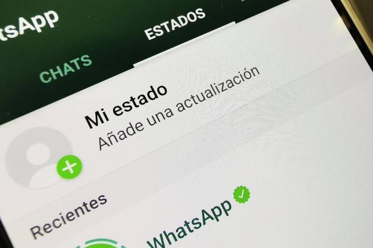 Aprende cómo descargar los estado de WhatsApp de tus amigos