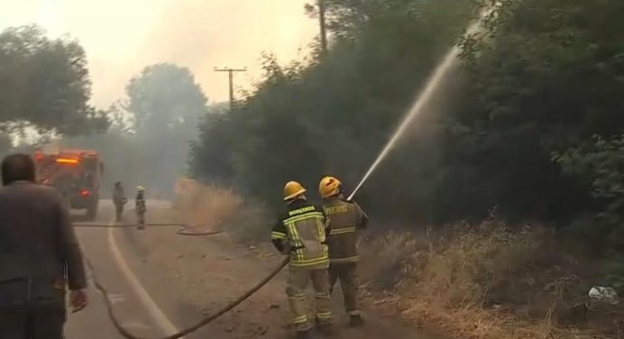 Chile decreta el estado de emergencia agrícola por incendios forestales