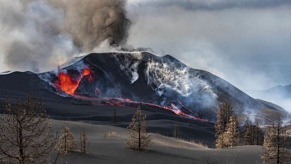 Lava del volcán en La Palma arrasa con 60 edificaciones