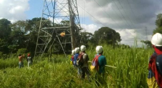 Plan Pica, Poda y Tala optimiza sistema eléctrico en el estado Monagas