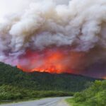 argentina declaro situacion de emergencia por los incendios forestales laverdaddemonagas.com incendios forestales