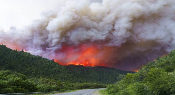 Argentina declaró situación de emergencia por los incendios forestales