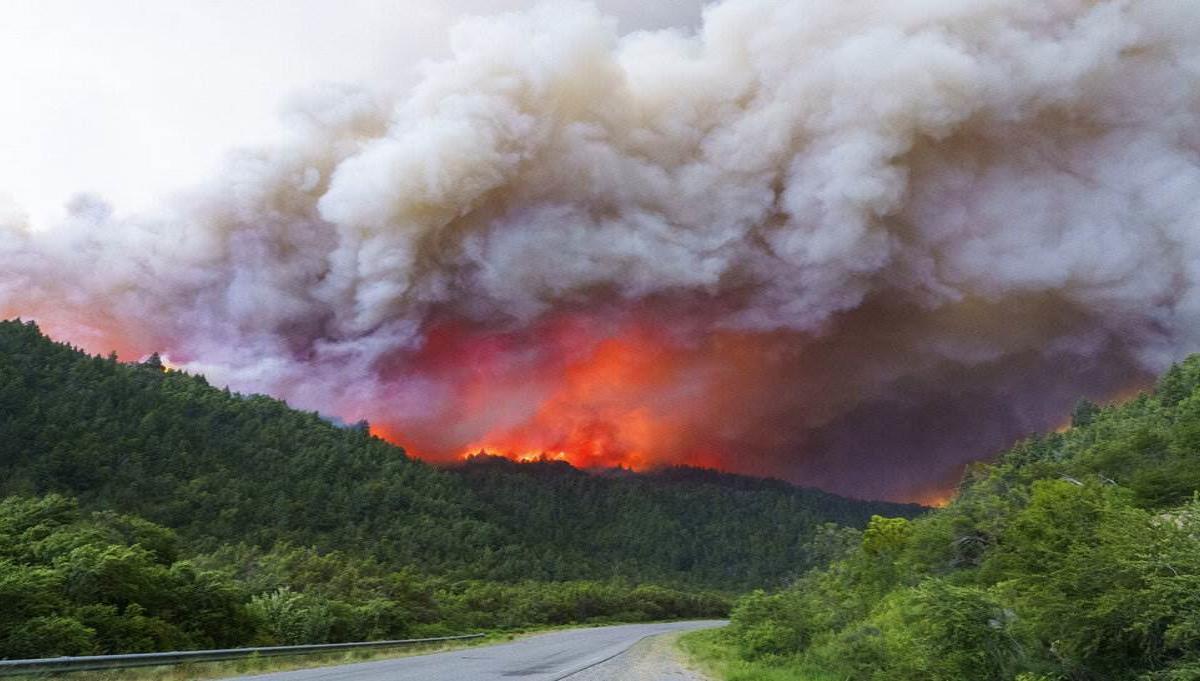 argentina declaro situacion de emergencia por los incendios forestales laverdaddemonagas.com incendios forestales