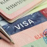 enterate cuanto necesitaran los venezolanos para solicitar visa mexicana laverdaddemonagas.com visa