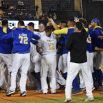 Magallanes