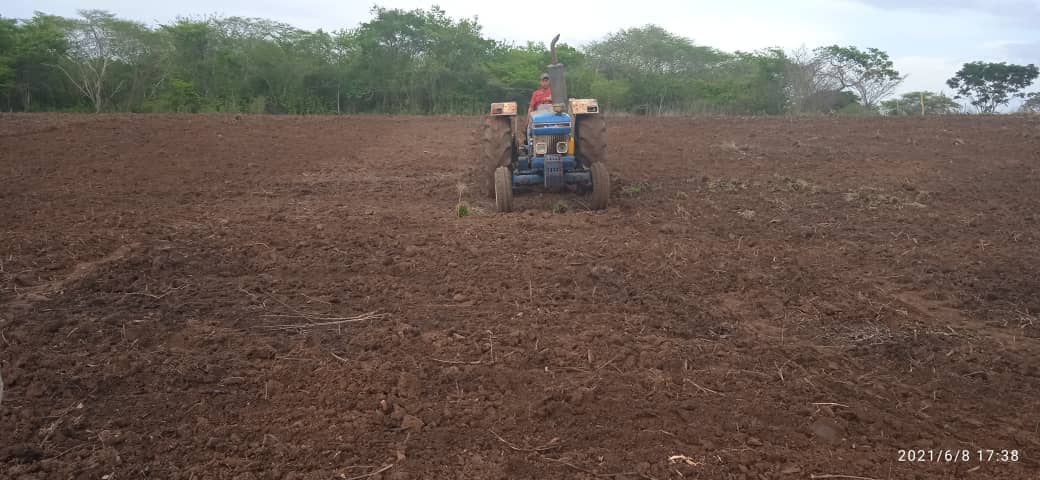 preparan registro de agricultores para plan de siembra en ezequiel zamora laverdaddemonagas.com tractor23