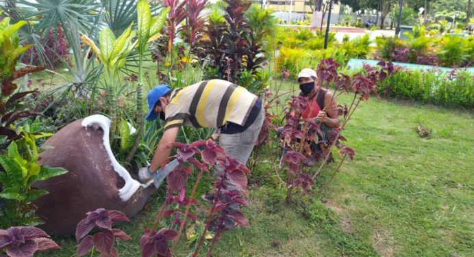 Sembrarán 3 mil plantas ornamentales en Maturín