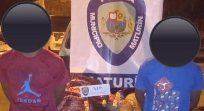 Capturados en flagrancia cuando descuartizaban una res en La Pica