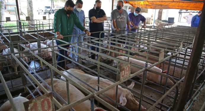 Gobernador Ernesto Luna reimpulsará la producción porcina en Monagas
