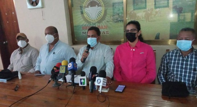 Gremio ganadero de Monagas se une a la campaña de vacunación contra la fiebre aftosa