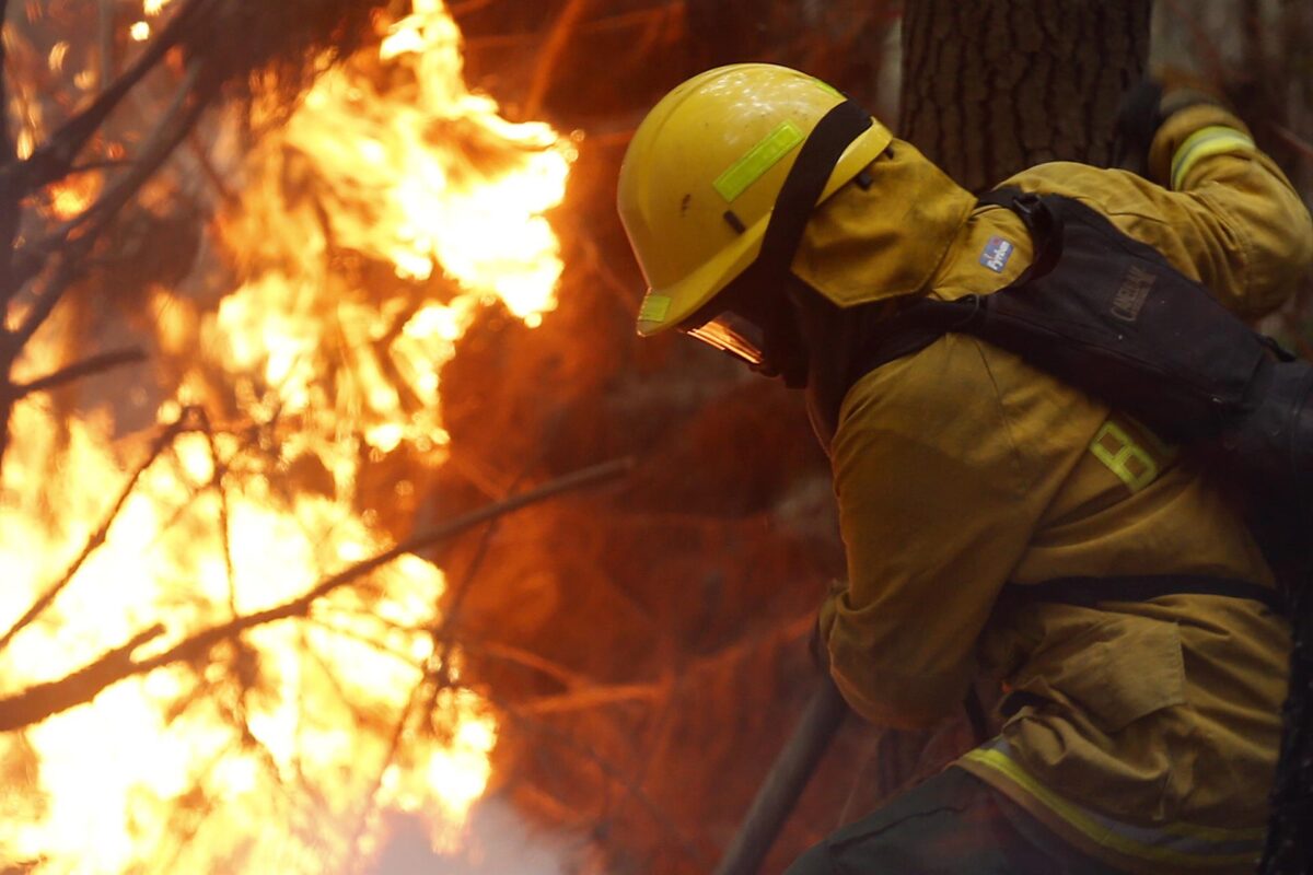 incendiosen argentina avanzan arrasando con mas de 550 000 hectareas laverdaddemonagas.com incendio 1