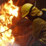 incendiosen argentina avanzan arrasando con mas de 550 000 hectareas laverdaddemonagas.com incendio