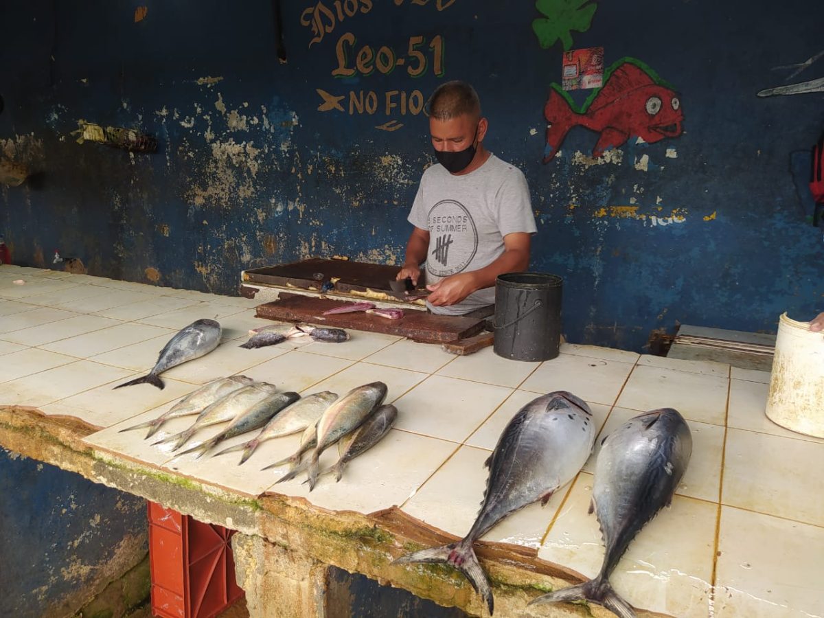 aumentan precios del pescado debido al costo de la gasolina laverdaddemonagas.com mas pescado